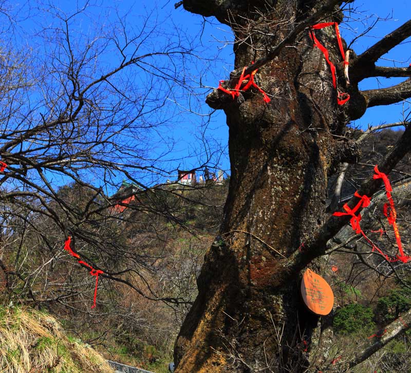 武当风光 摄影 forestphoto