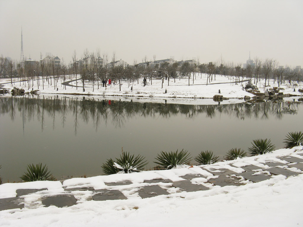 龙湖雪景 摄影 梅格格