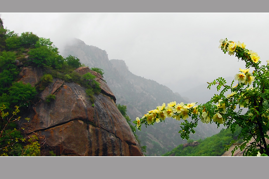 烟雨云蒙山-３ 摄影 高枕无忧