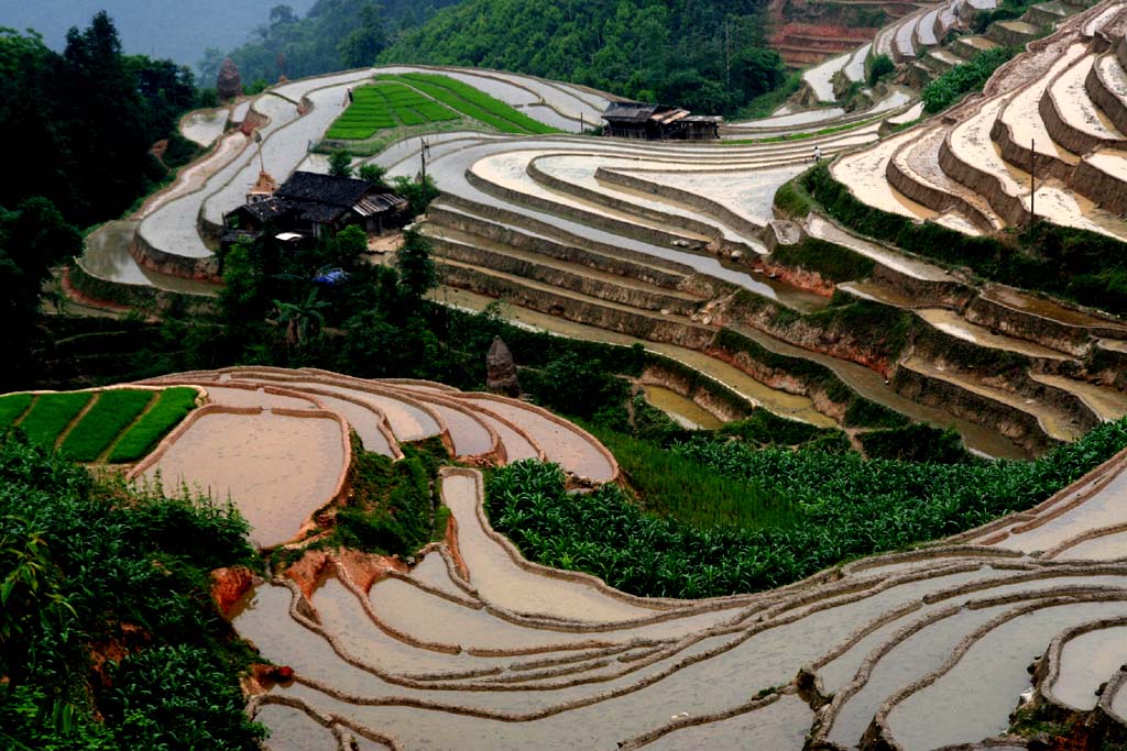 老山梯田 摄影 遇路