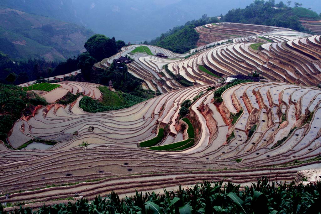 云南老山梯田 摄影 遇路