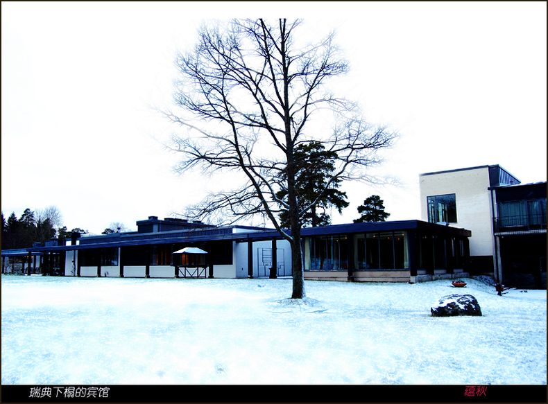 瑞典的雪景 摄影 蘊秋