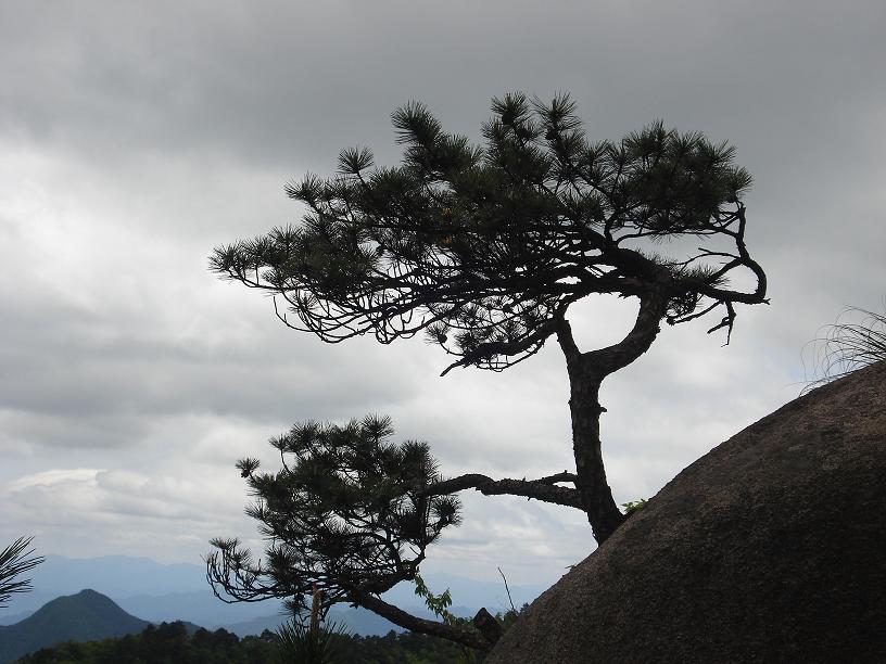 山雨欲来 摄影 白云间