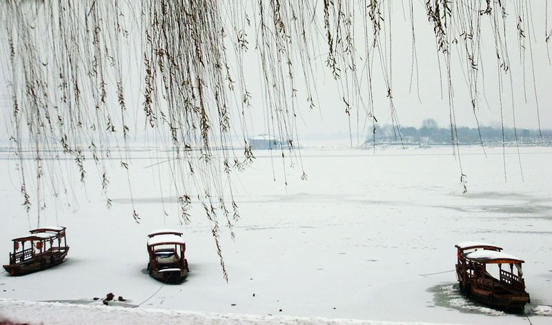 柳叶湖雪景 摄影 清风微澜