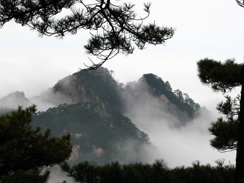 山,松,雾 摄影 蓝天翱翔