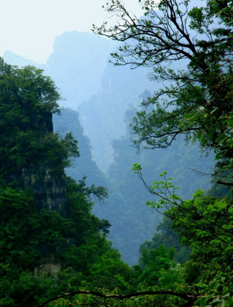 幽谷 摄影 荆洲大侠