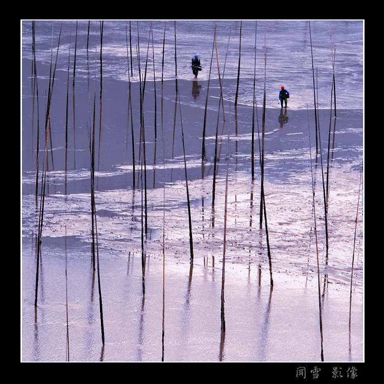 踏着晚霞归来 摄影 闻雪