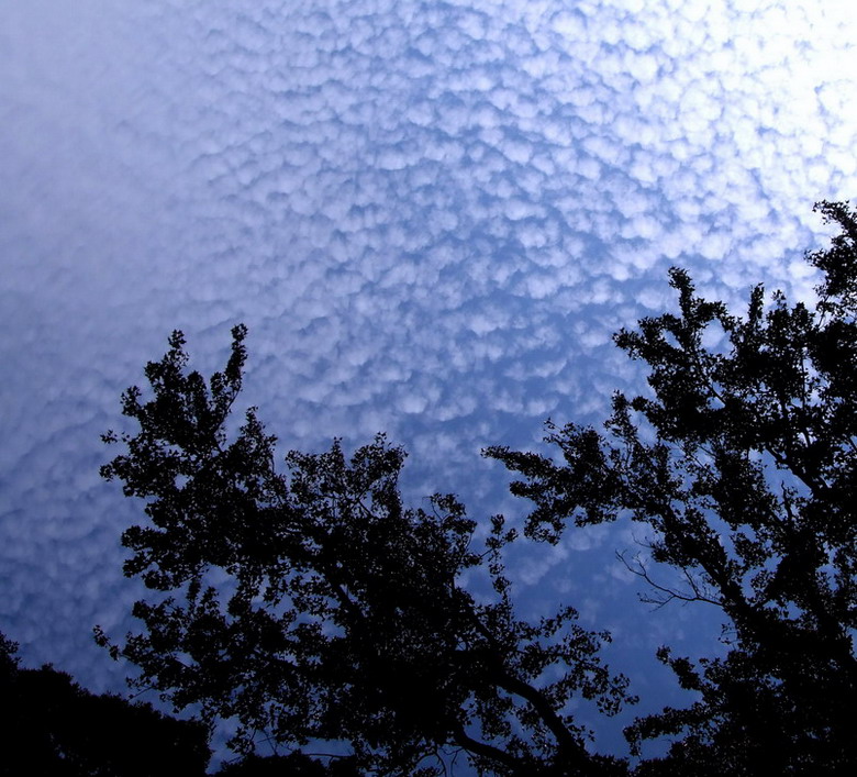 仰望天空 摄影 溪里峰