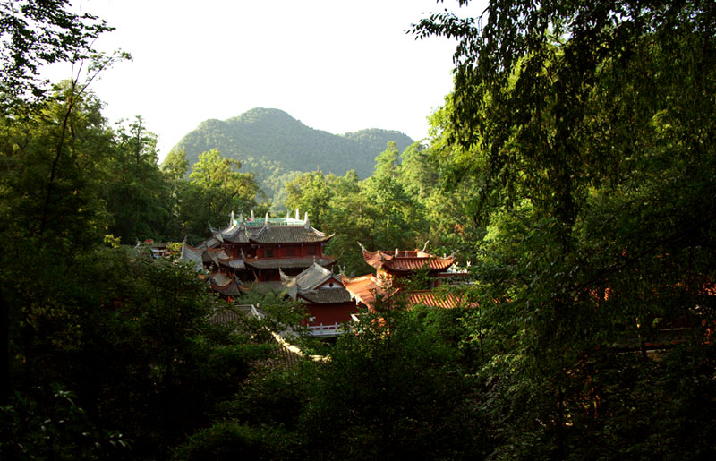 弘福寺 摄影 水采田和