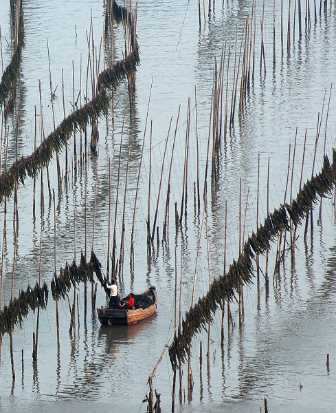 霞浦行 摄影 wangbing