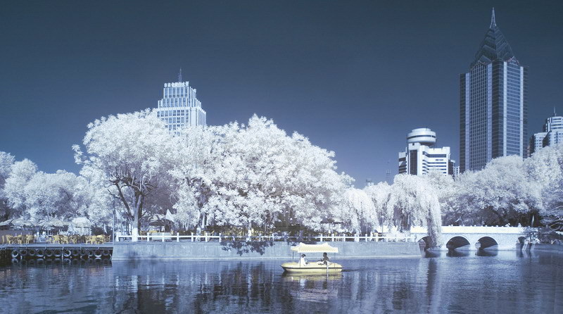 [原创·半红外]城市·公园·风景 摄影 一夫