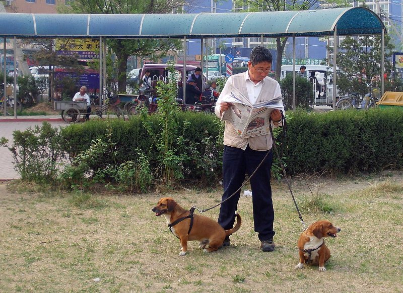 吸引 摄影 明海谢