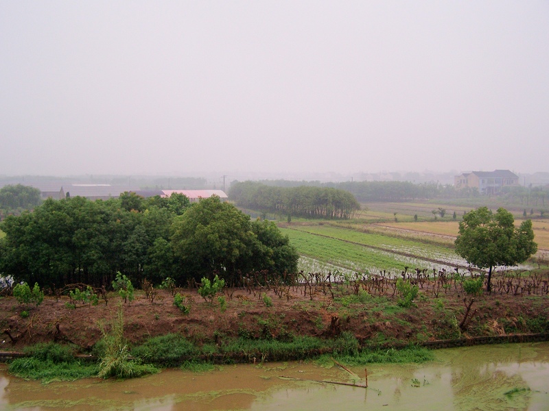 雨后清晨 摄影 冰岛一郎