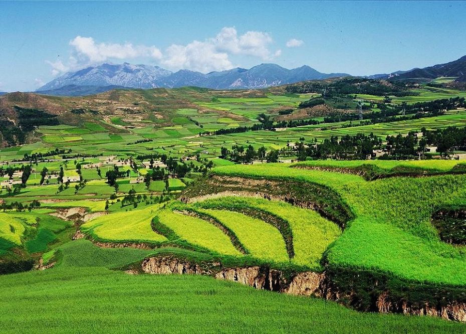 美丽的家园 摄影 秦川牛