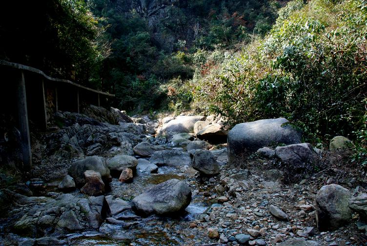 三溪美景 摄影 金美纲