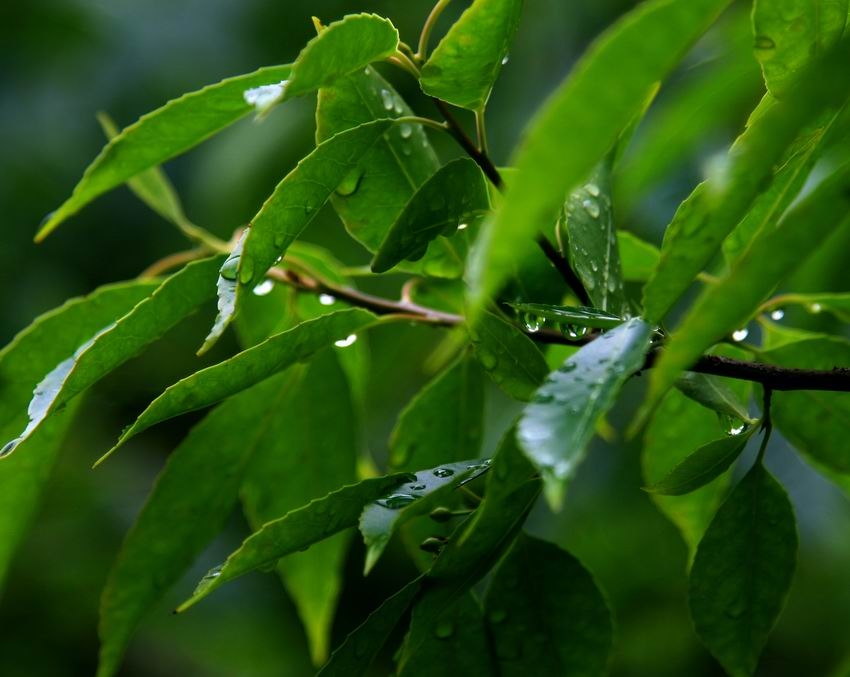 雨后 摄影 风卷云舒