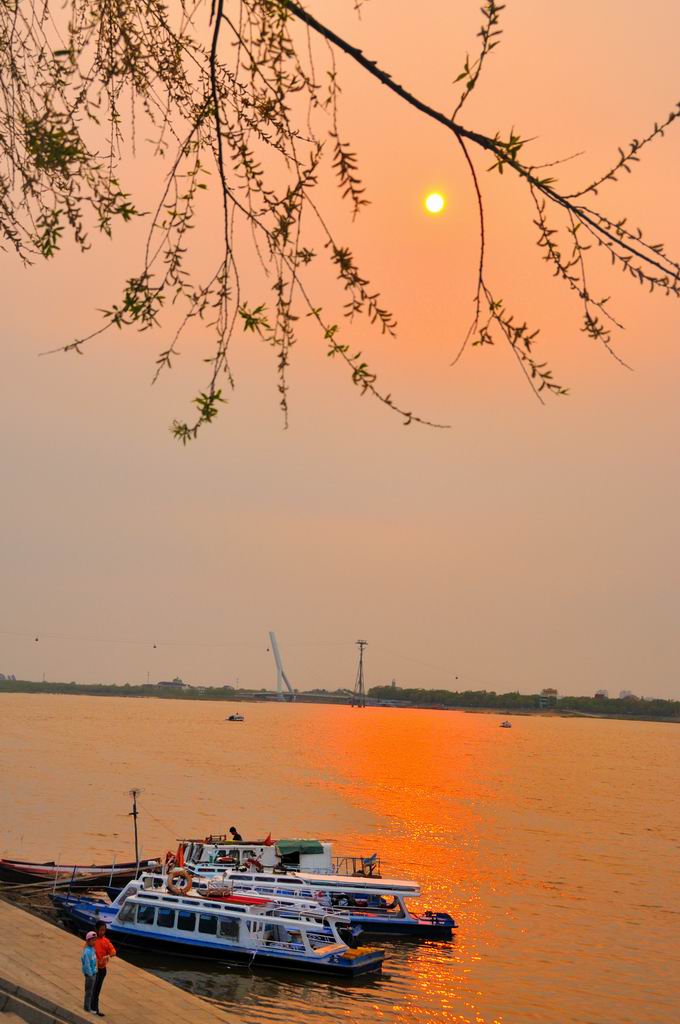 夕阳红 摄影 夕阳颂影