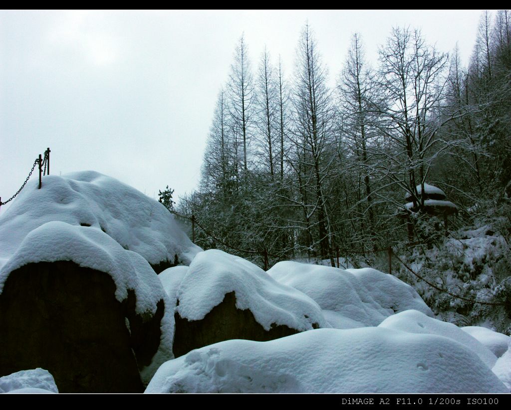 小龙潭雪景 摄影 石径