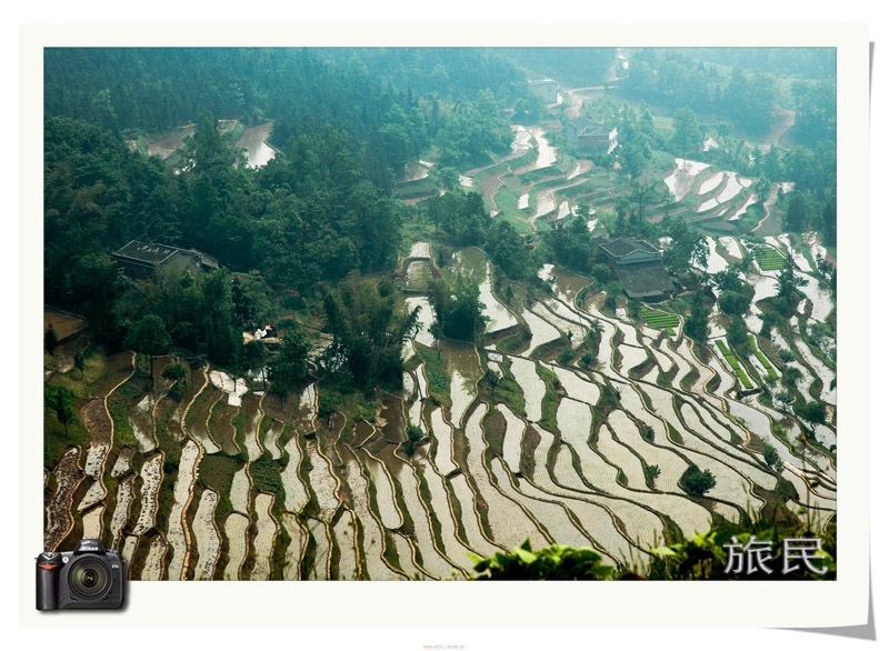 梯田 摄影 旅民