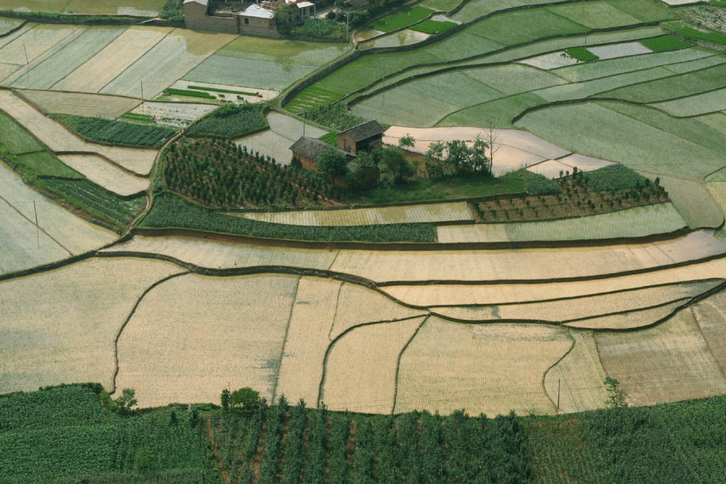 田园 摄影 遇路