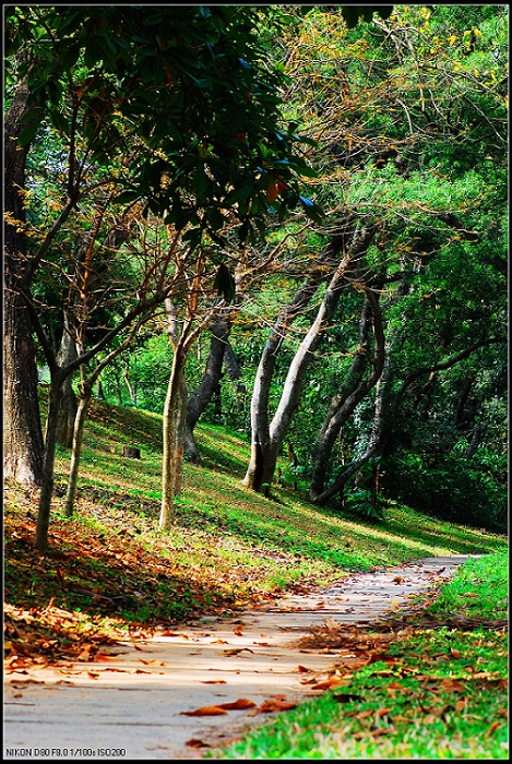 小路 摄影 四驱越野