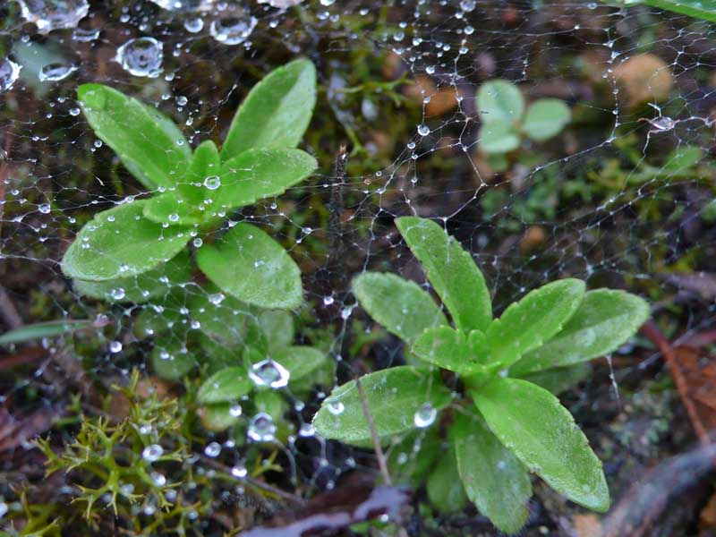 雨后的山坡 摄影 洋务运动