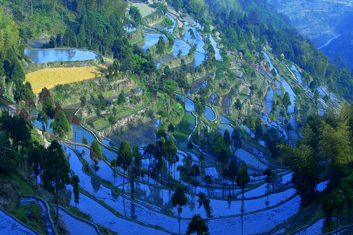 茗岙梯田 摄影 百工居肆