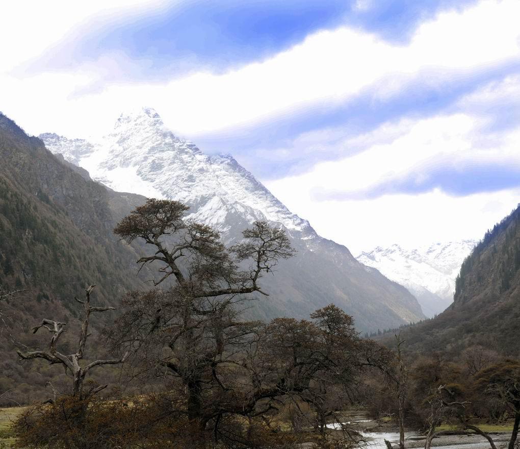 四姑娘山双桥沟风景区:高耸入云的雪山和阿娜多姿的古树 摄影 吴大叔