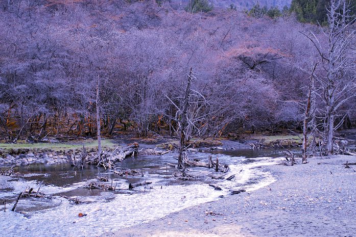 美丽川西——长坪沟枯树滩 摄影 江门仔