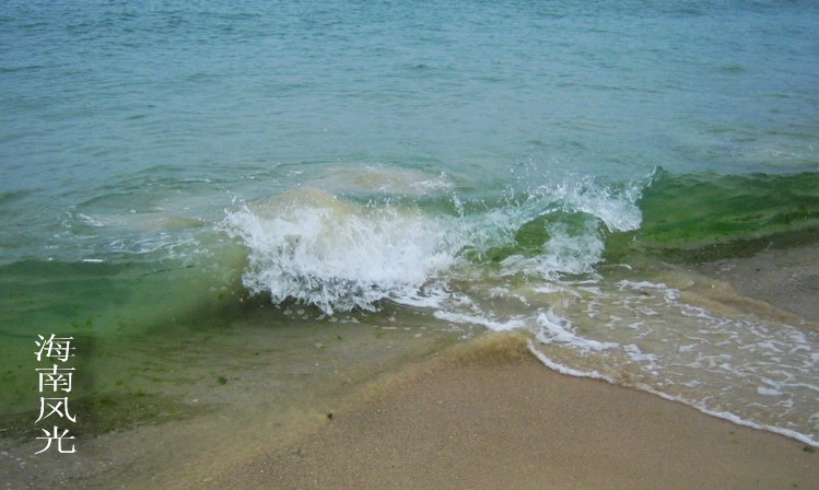 海浪花 摄影 leezongke