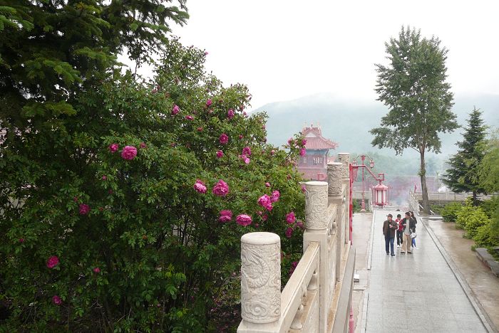 吉林磨盘山景区 摄影 柳花