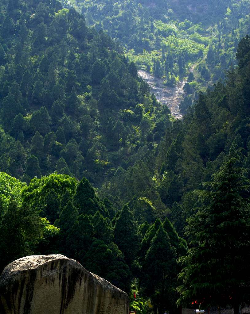 《风景2》 摄影 一缕光影