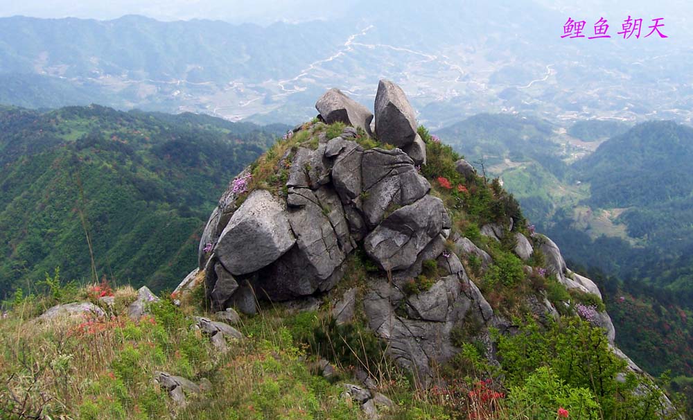 黄龙山胜景——鲤鱼朝天 摄影 山谷之春