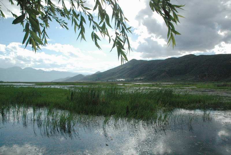 沪沽湖-草海 摄影 老龙