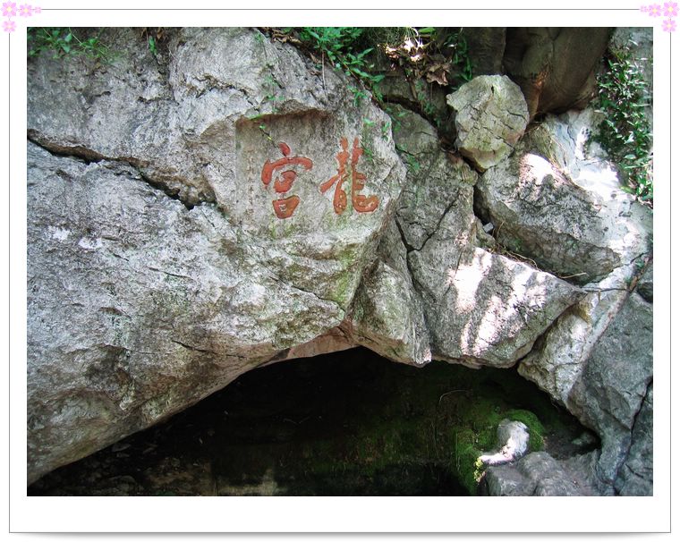 杭州吴山风景区 摄影 竹海云深