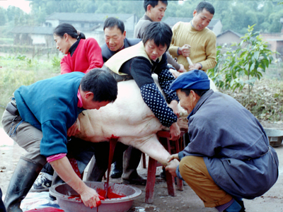 过年 摄影 勤路