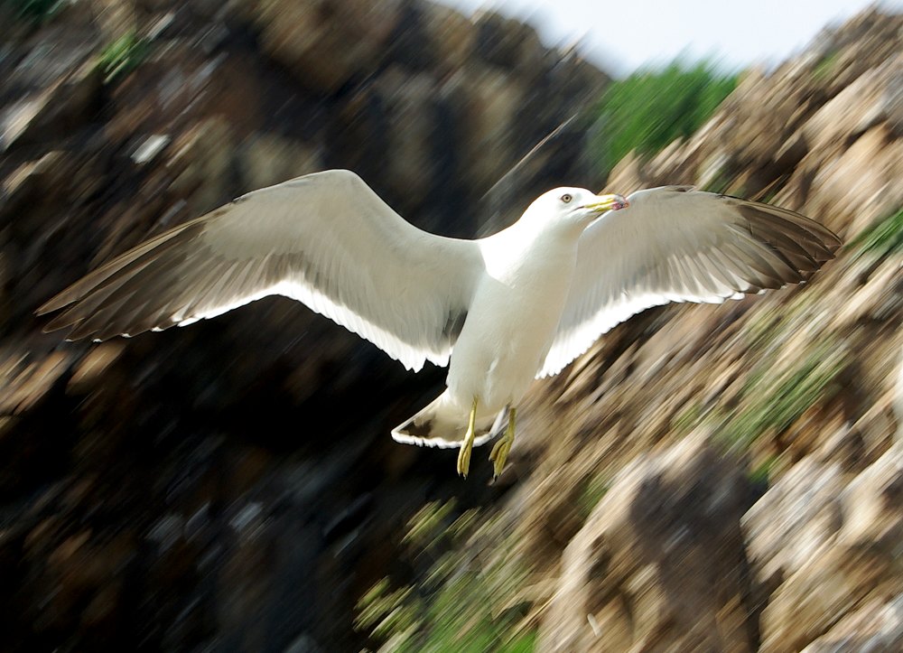 速度 摄影 东海2008