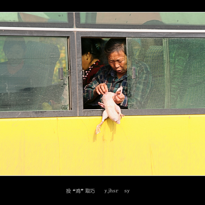 投"鸡"取巧 摄影 又见黄氏人