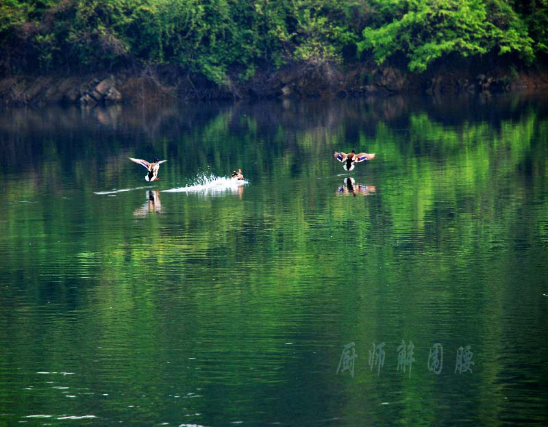 仙境-----悠南山 摄影 厨师解围腰