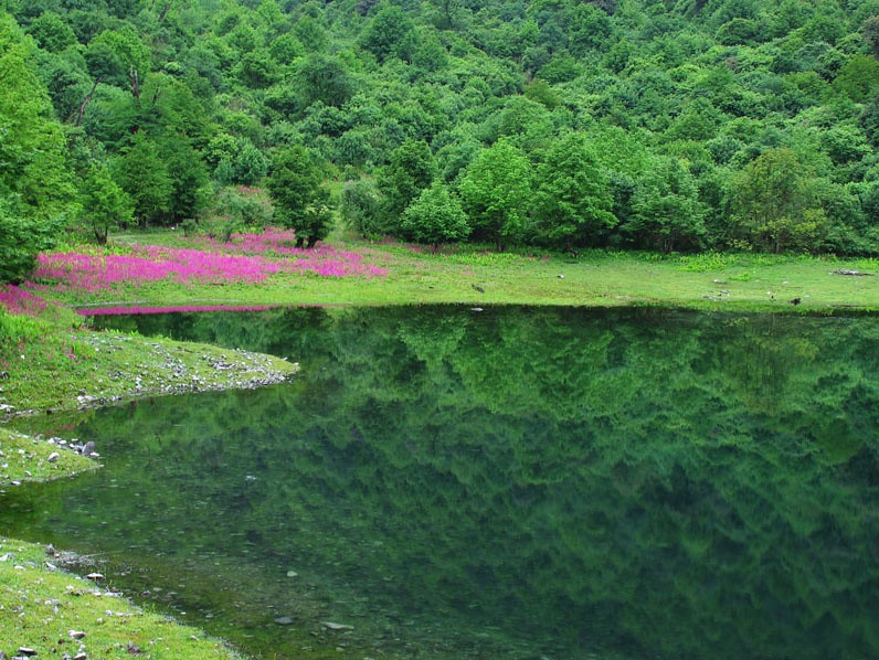 静谧 摄影 夏之梦