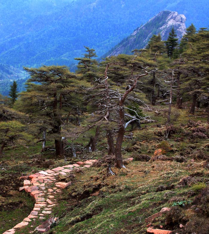 芦芽山风光 摄影 forestphoto