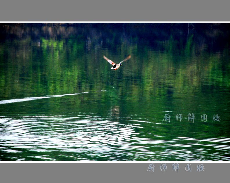 仙境－－石花悠南山 摄影 厨师解围腰