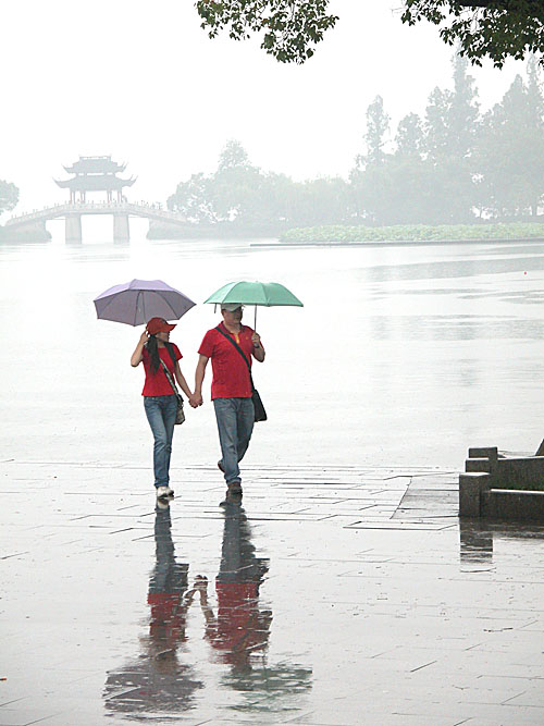 雨中情 摄影 杭州老潘