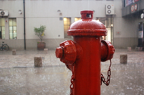 雨中 摄影 seattle