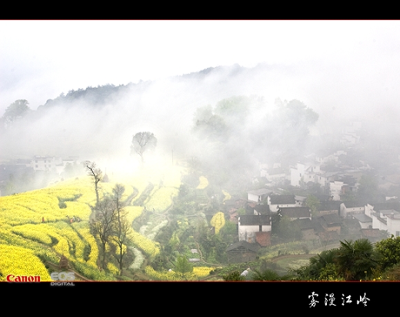 雾漫江岭 摄影 晨光