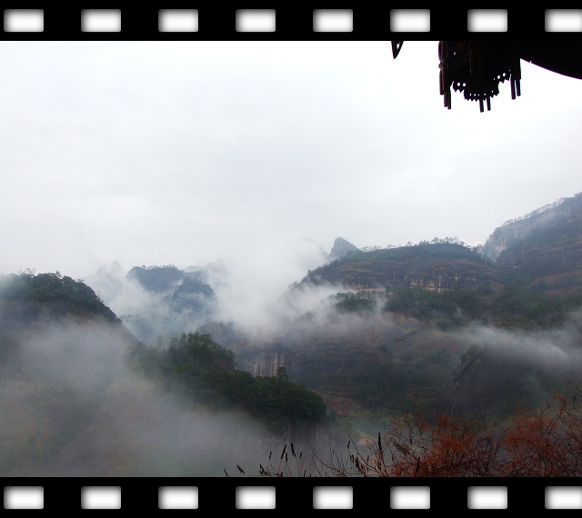 雨中武夷 摄影 九曲清流溪