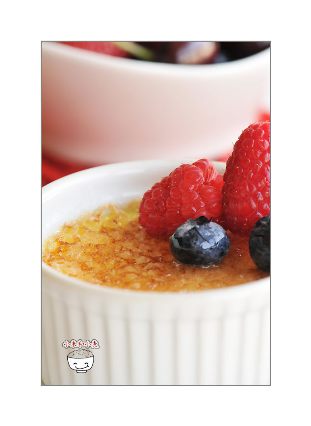 Creme Brulee 摄影 红瘦