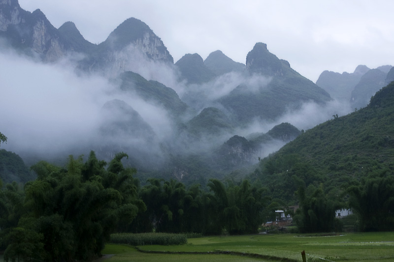 晨雾 摄影 文青