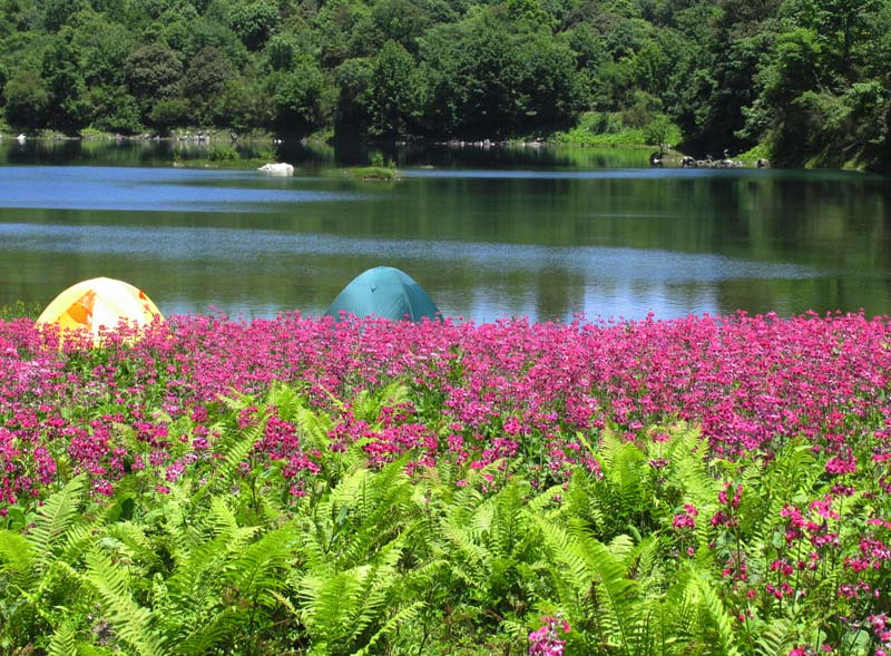 月亮湖之春(三) 摄影 夏之梦