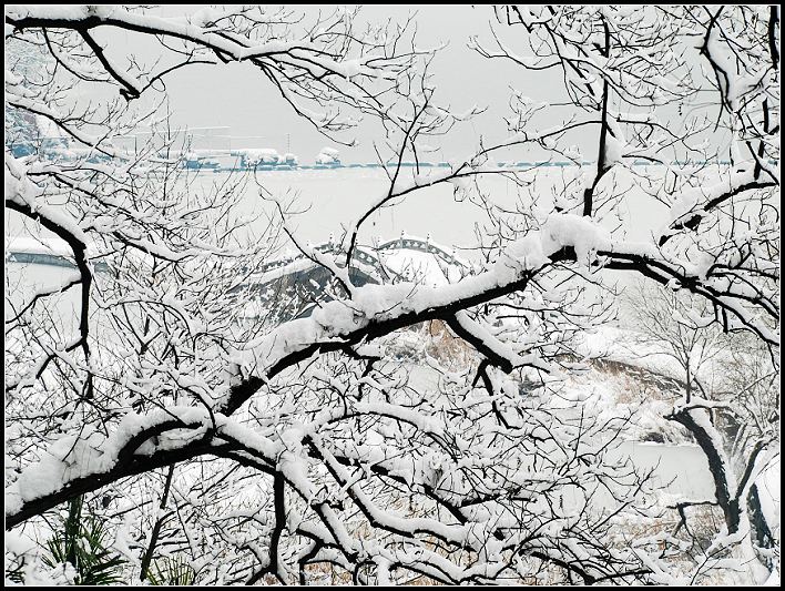 无锡也无雪,难... 摄影 雷风